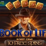 Play Book Of Life Slot