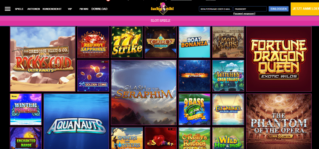 Lucky Niki slots sections